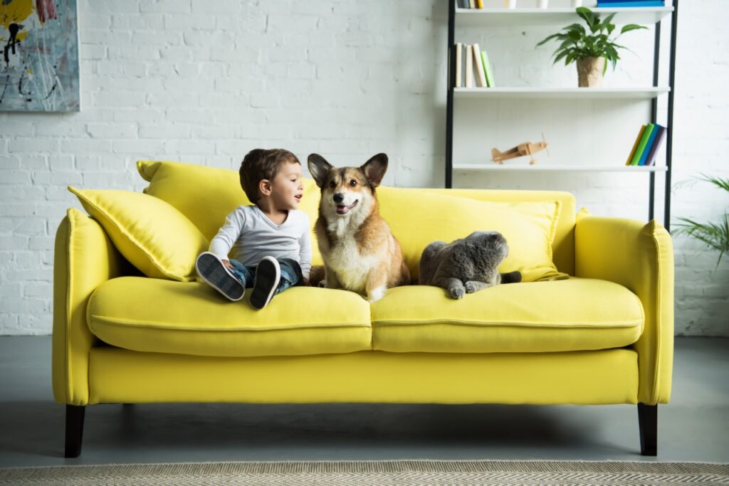 Kid friendly sofa